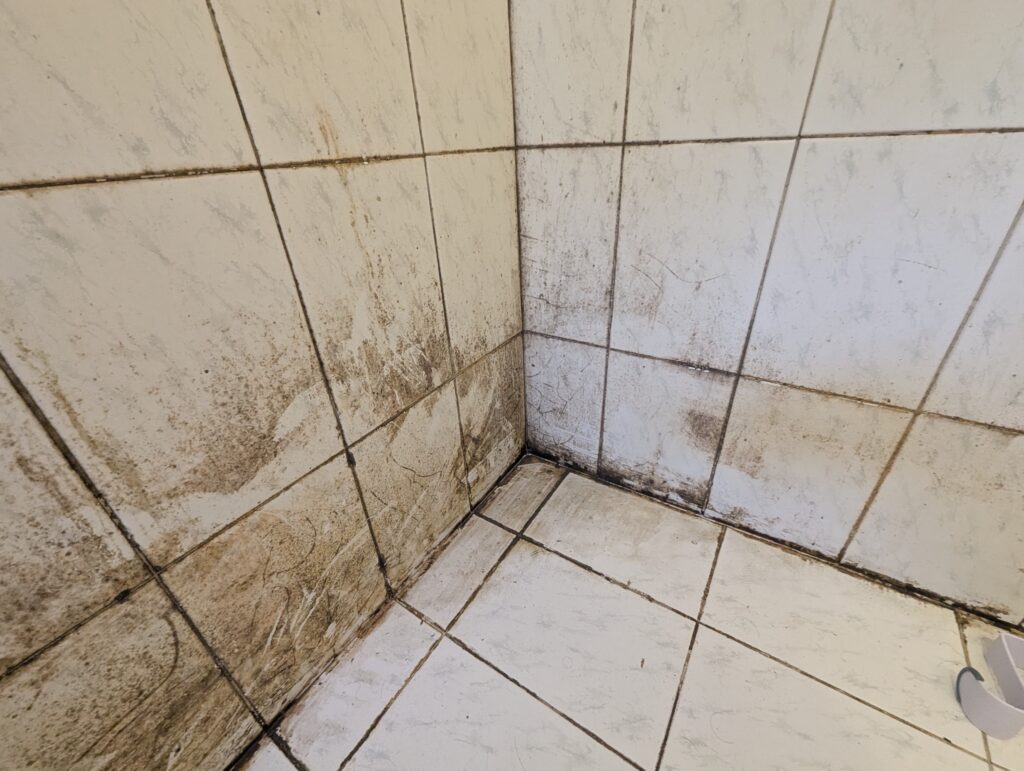 Home v2 21 1000033996