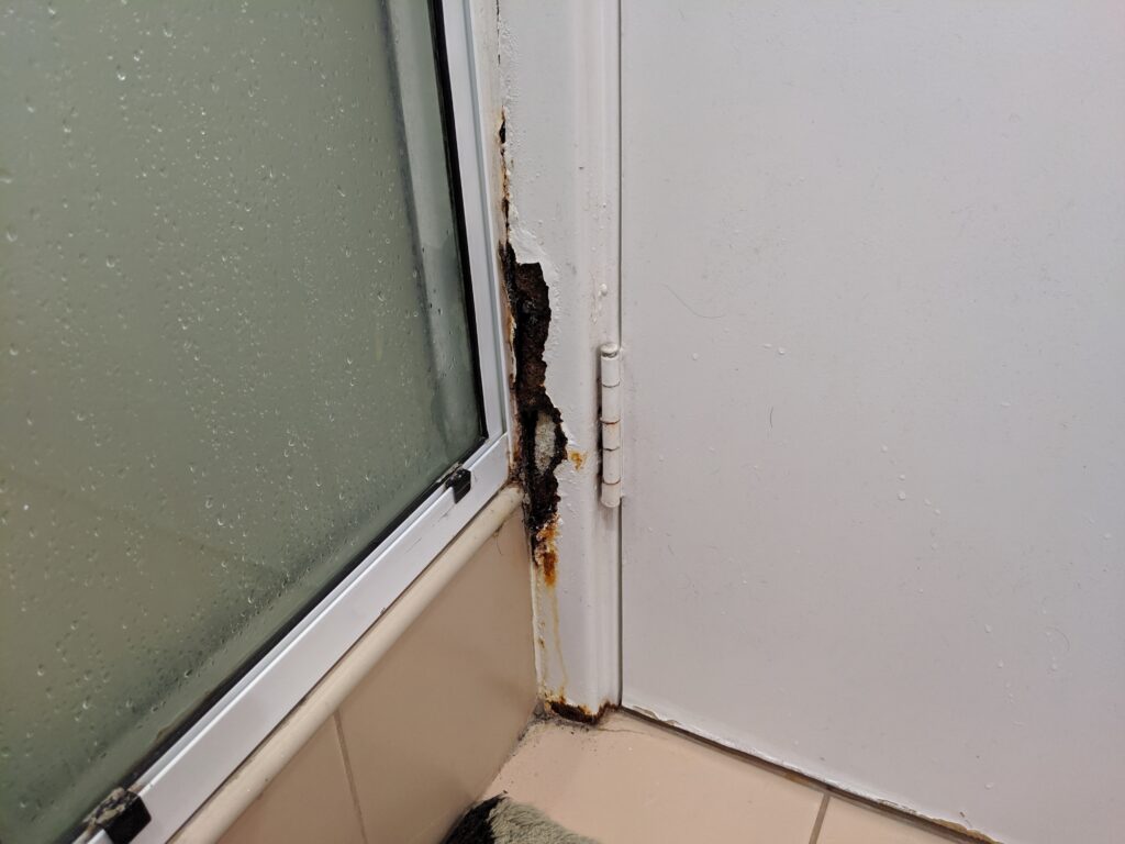 Home v2 17 IMG 20190808 072353
