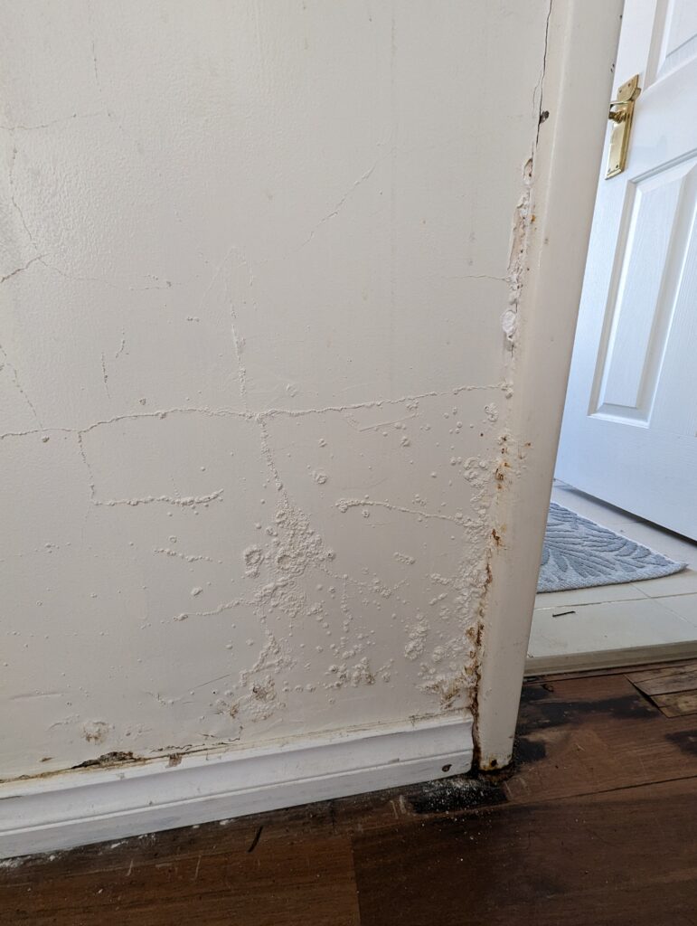 Home v2 18 PXL 20230908 035804678